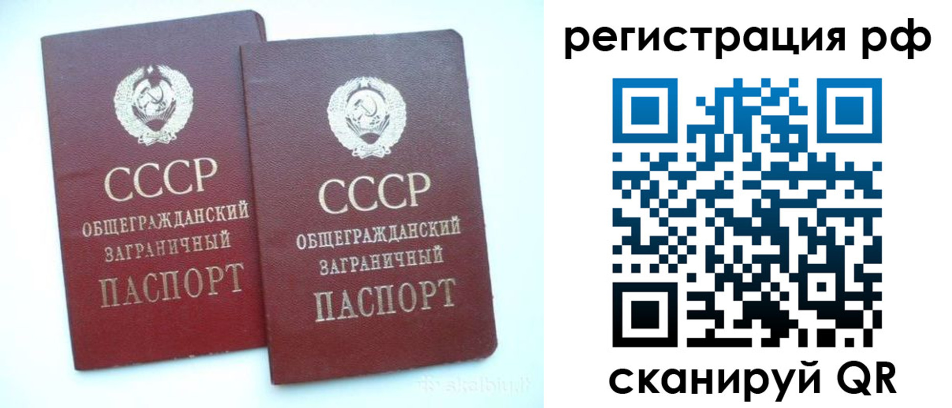 временная регистрация госуслуги в Благовещенске
